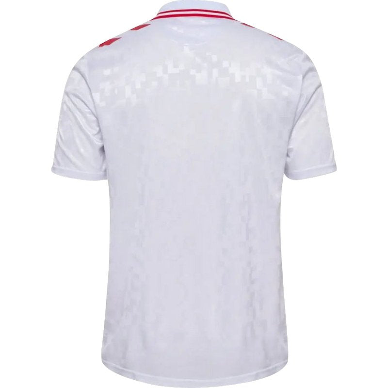 Camiseta de visitante de Dinamarca 24/25 II (versión para aficionados)